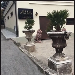 Bisi Antichità