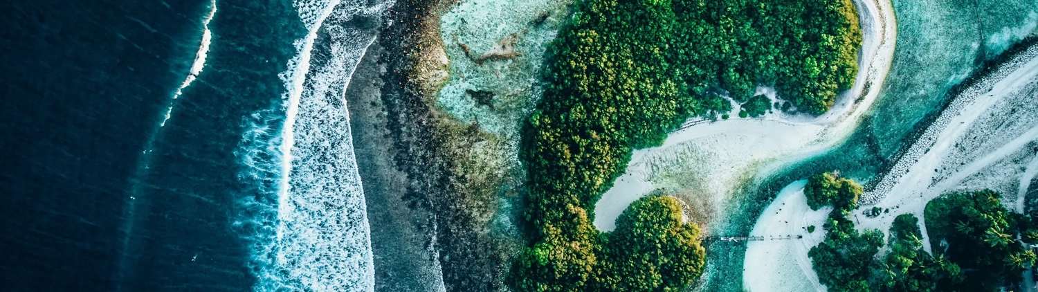 Time Explorer Antiques