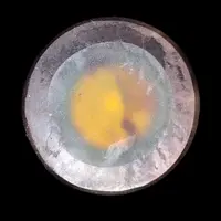 Jarre en verre gravé à l'acide avec une décoration florale art nouveau.