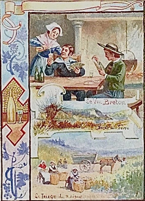 série de 6 temperas sur papier encadrées de scènes sur la production du vin.France.E.Auger.
