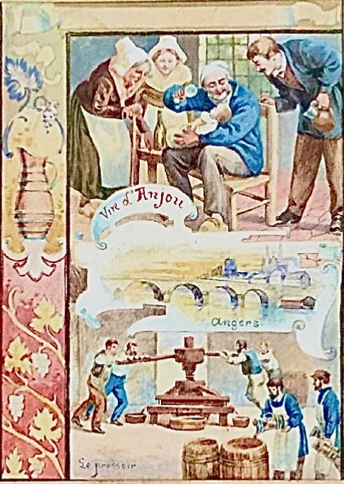 série de 6 temperas sur papier encadrées de scènes sur la production du vin.France.E.Auger.