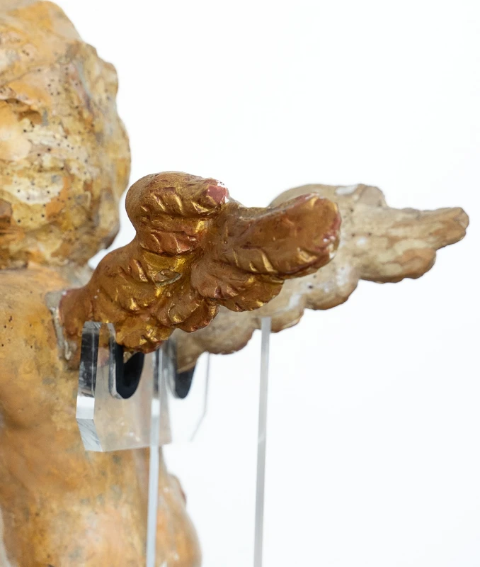 Coppia di putti in legno dorato, Venezia