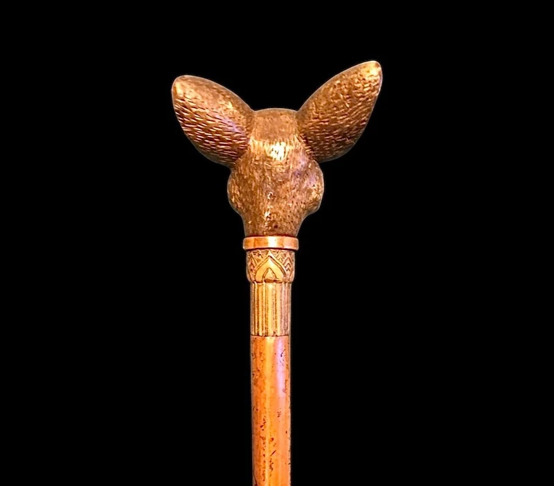 Bastone con pomolo in legno raffigurante testa di cane bulldog francese.Canna in malacca incisa