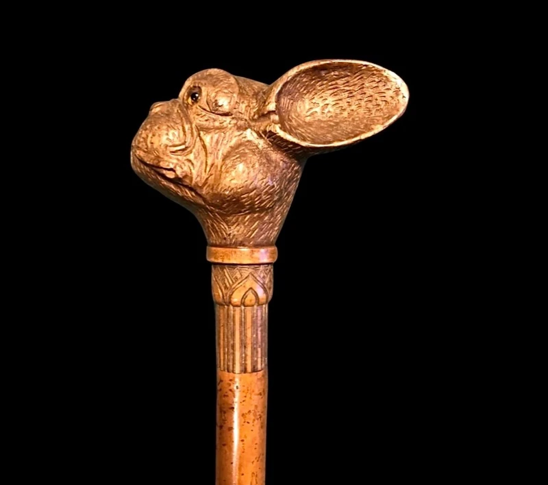 Bastone con pomolo in legno raffigurante testa di cane bulldog francese.Canna in malacca incisa