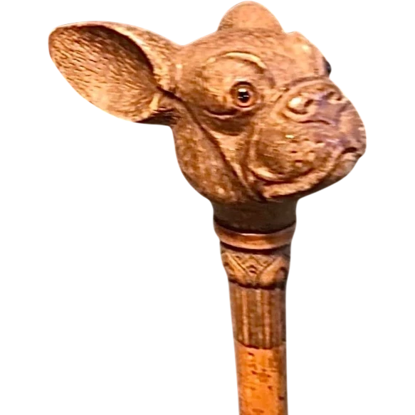 Bastone con pomolo in legno raffigurante testa di cane bulldog francese.Canna in malacca incisa