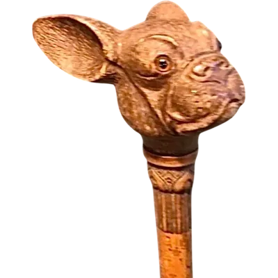 Canne avec un pommeau en bois représentant une tête de bouledogue français. Tige en malacca gravée