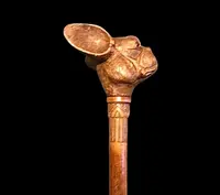 Bastone con pomolo in legno raffigurante testa di cane bulldog francese.Canna in malacca incisa