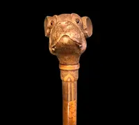 Bastone con pomolo in legno raffigurante testa di cane bulldog francese.Canna in malacca incisa
