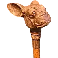 Bastone con pomolo in legno raffigurante testa di cane bulldog francese.Canna in malacca incisa
