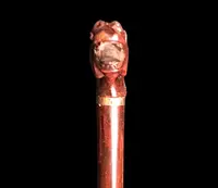 Walking stick with a boxwood knob shaped like a horse's head.