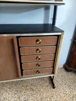 Umberto Mascagni bookcase from the 1950s.