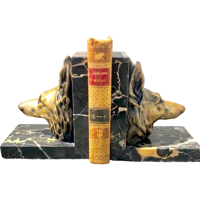 Pair of bronze and marble bookends depicting dog heads. Signed: H. Payen. France.