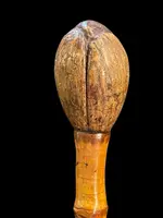 Cane with a curozo seed knob depicting a grotesque face. Glass eyes