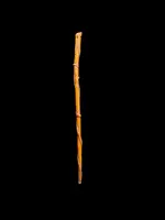 Canne traditionnelle en bois d'une seule pièce, sculptée d'un jaguar attaquant un serpent.