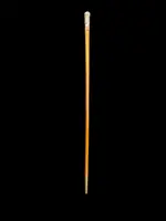 "Compagnon" ceremonial cane in silver with stylized floral and geometric motifs.
