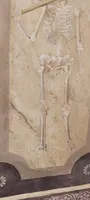 Memento Mori Scheletro grande dipinto a tempera su tela XVIII secolo .Italia