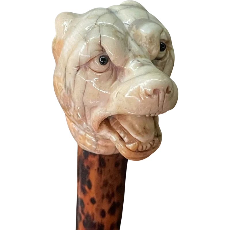 Bastone con pomolo in avorio raffigurante testa di cane molosso.