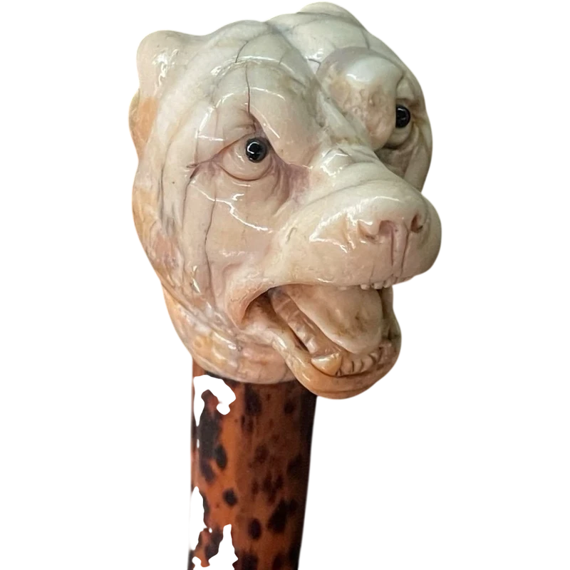A walking stick with an ivory knob shaped like the head of a Molosser dog.