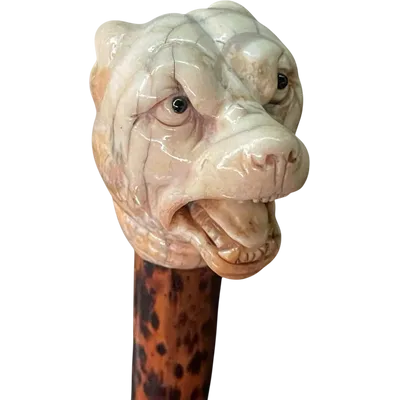 A walking stick with an ivory knob shaped like the head of a Molosser dog.