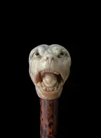 A walking stick with an ivory knob shaped like the head of a Molosser dog.