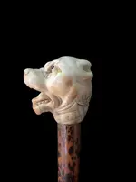 A walking stick with an ivory knob shaped like the head of a Molosser dog.