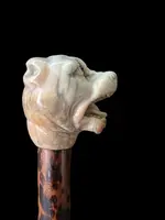 A walking stick with an ivory knob shaped like the head of a Molosser dog.