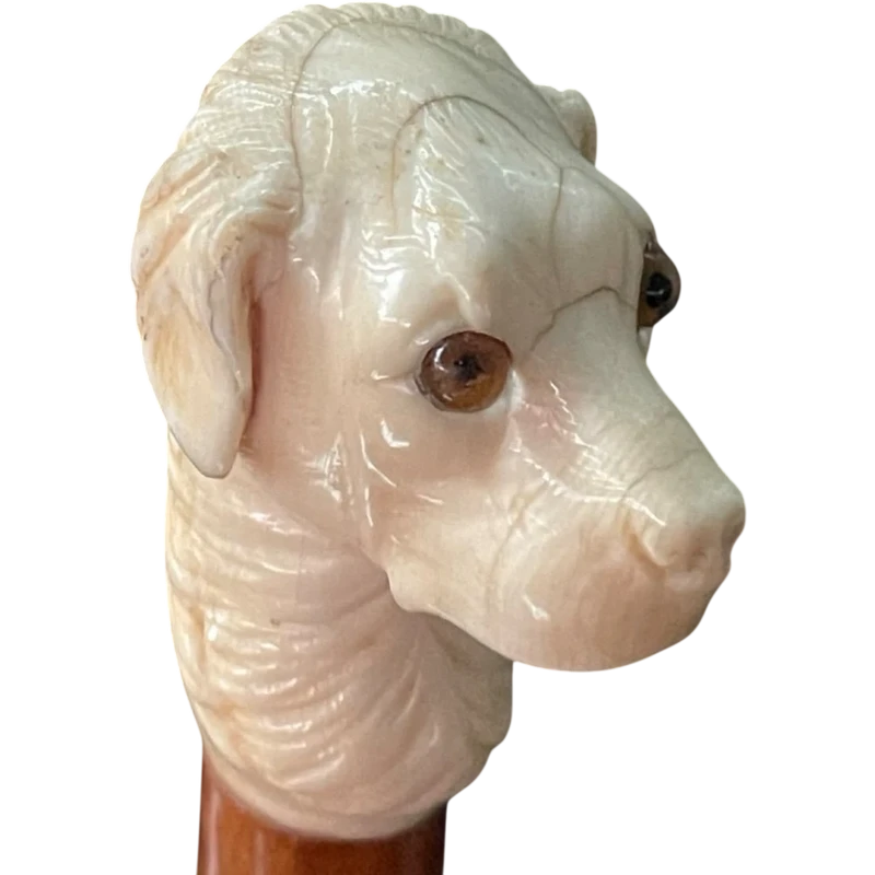Canne avec un pommeau en ivoire représentant une tête de chien.