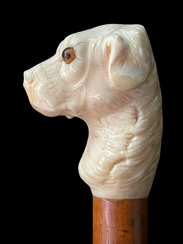 Canne avec un pommeau en ivoire représentant une tête de chien.