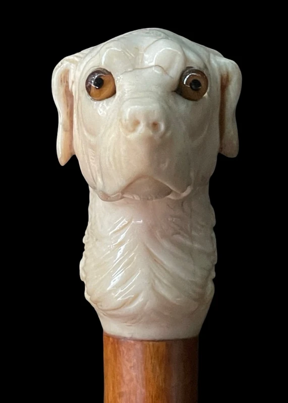 Canne avec un pommeau en ivoire représentant une tête de chien.
