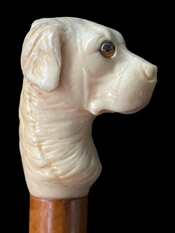 Canne avec un pommeau en ivoire représentant une tête de chien.