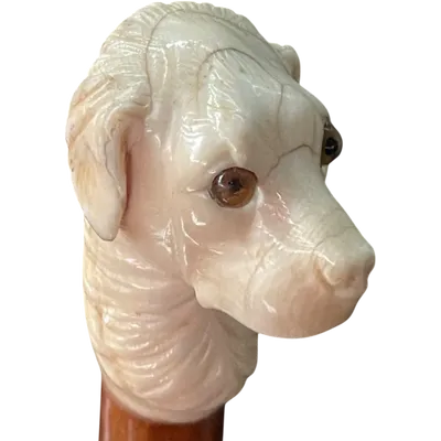 Canne avec un pommeau en ivoire représentant une tête de chien.
