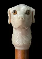Canne avec un pommeau en ivoire représentant une tête de chien.