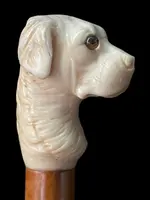 Canne avec un pommeau en ivoire représentant une tête de chien.