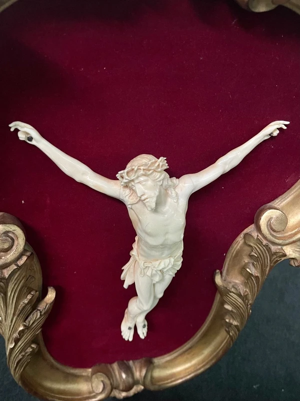 Cristo in avorio su cornice rocaille in legno dorato.