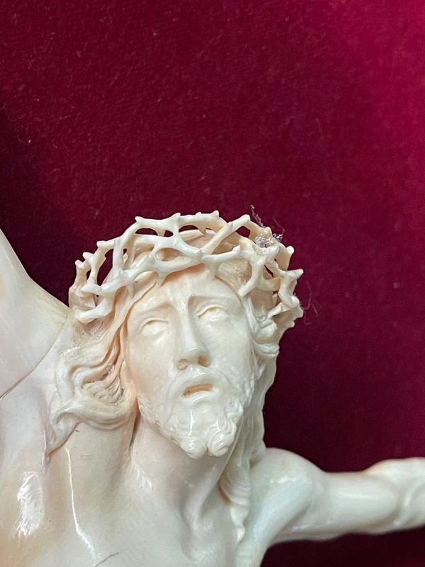 Cristo in avorio su cornice rocaille in legno dorato.