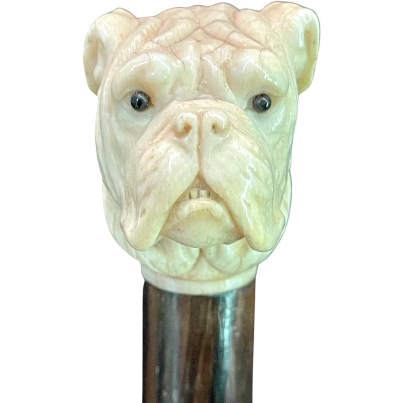 A walking stick with an ivory knob depicting the head of a Molosser dog.