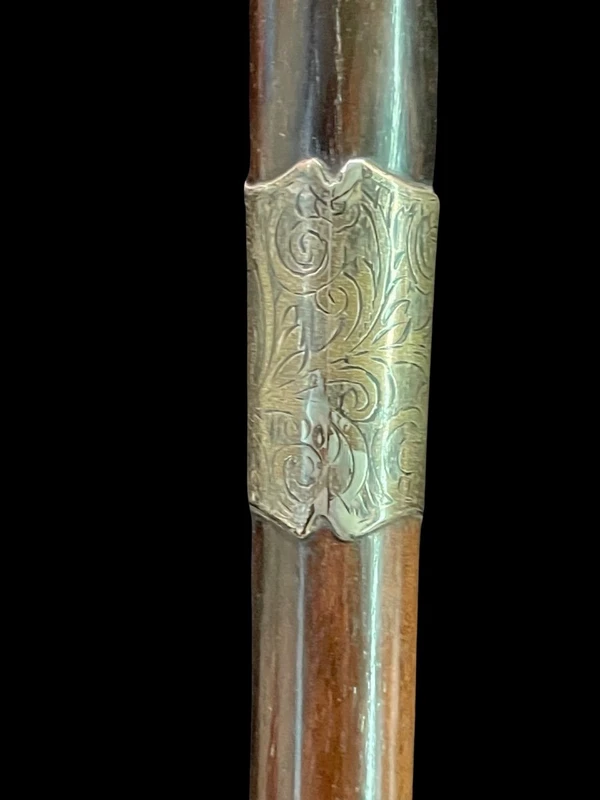 A walking stick with an ivory knob depicting the head of a Molosser dog.