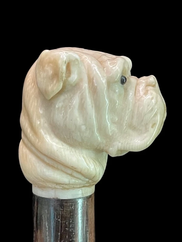A walking stick with an ivory knob depicting the head of a Molosser dog.