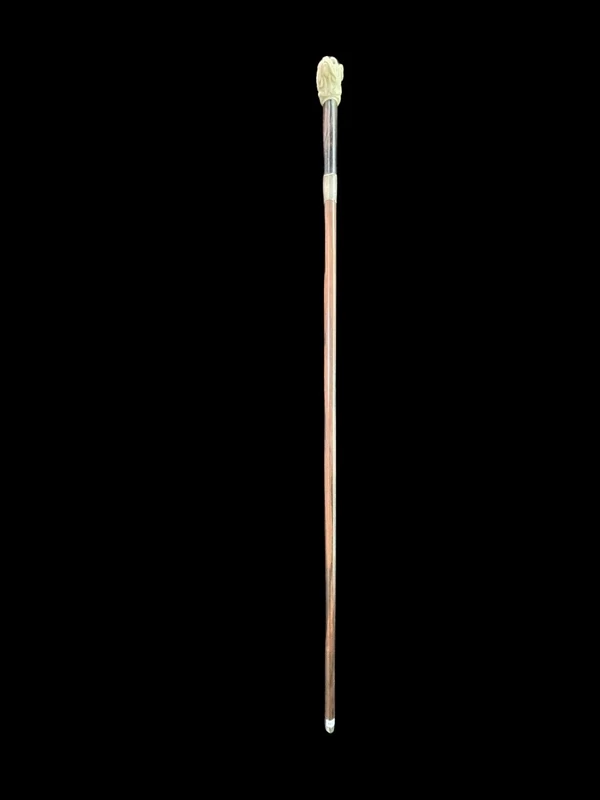 A walking stick with an ivory knob depicting the head of a Molosser dog.