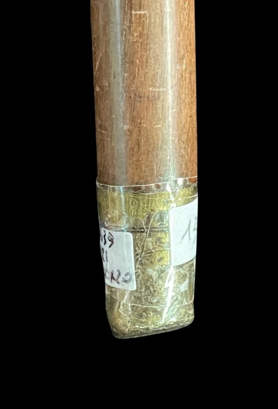 A walking stick with an ivory knob depicting the head of a Molosser dog.