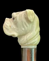 A walking stick with an ivory knob depicting the head of a Molosser dog.