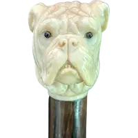 A walking stick with an ivory knob depicting the head of a Molosser dog.