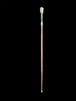 A walking stick with an ivory knob depicting the head of a Molosser dog.