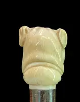 A walking stick with an ivory knob depicting the head of a Molosser dog.