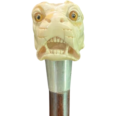 A walking stick with an ivory knob depicting the head of a Molosser dog.
