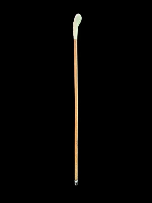 Cane with a spherical ivory knob featuring an intertwined snake engraved in high relief