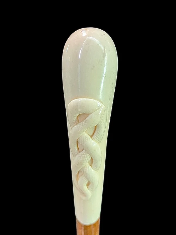 Cane with a spherical ivory knob featuring an intertwined snake engraved in high relief