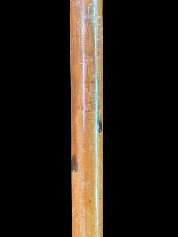 Cane with a spherical ivory knob featuring an intertwined snake engraved in high relief