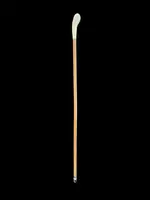 Cane with a spherical ivory knob featuring an intertwined snake engraved in high relief