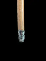 Cane with a spherical ivory knob featuring an intertwined snake engraved in high relief